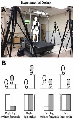 Walking Speed Influences the Effects of Implicit Visual Feedback Distortion on Modulation of Gait Symmetry